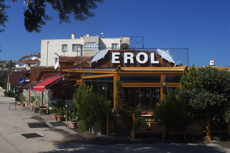 erol balik mudanya yolu bursa